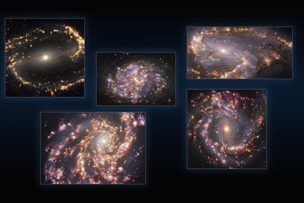Observations of the nearby galaxies