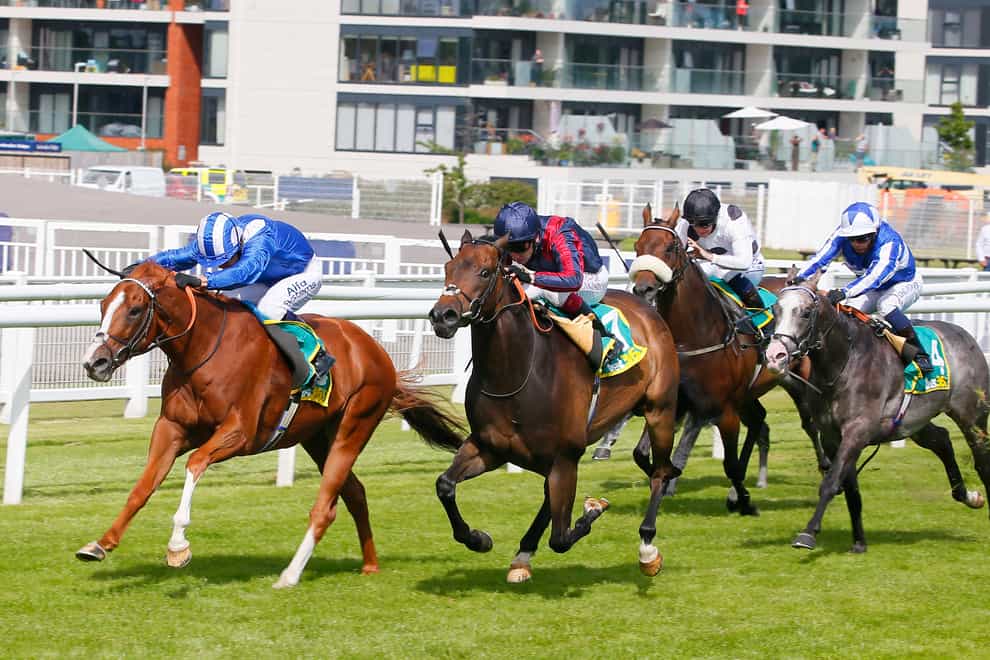 Tabdeed (left) attempts to repeat last year's victory in the bet365 Hackwood Stakes at Newbury