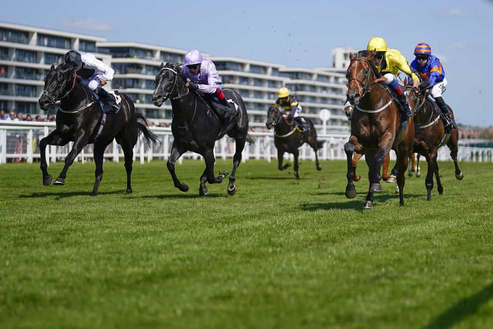 Caturra (yellow) claimed Listed honours at Newbury