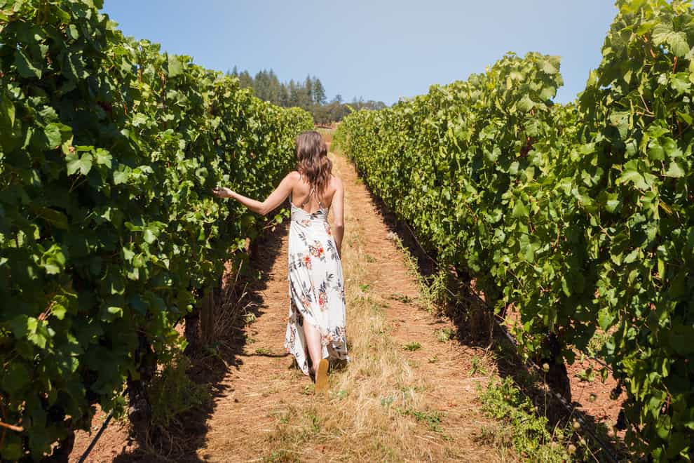 Strolling in a vineyard