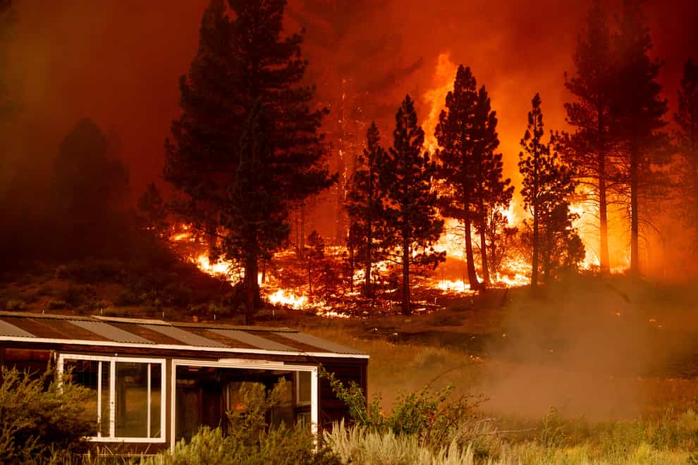 The Tamarack Fire burns behind a greenhouse in the Markleeville community of Alpine County, California (Noah Berger/AP)
