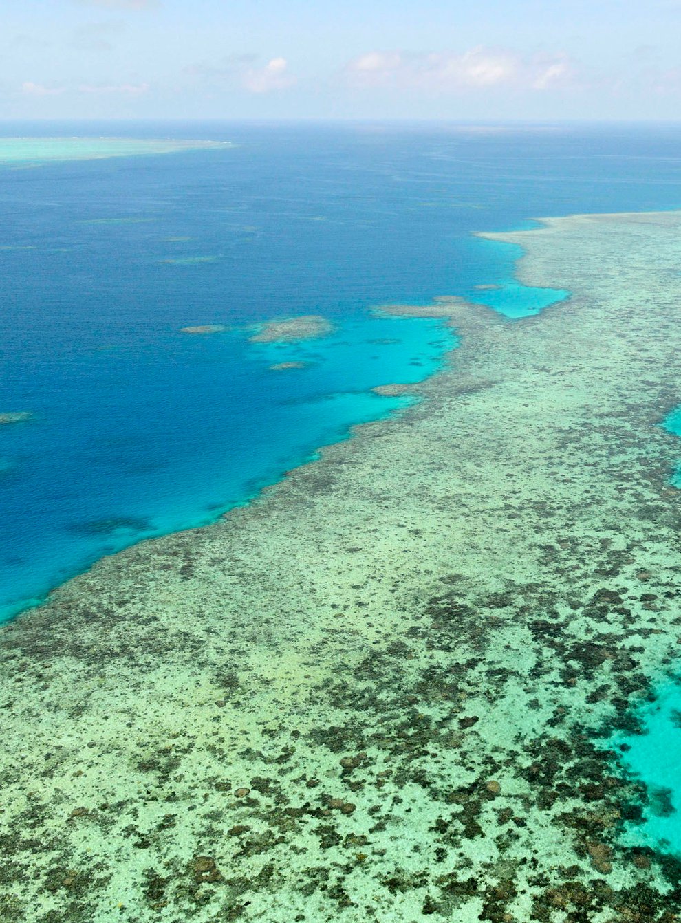 The Great Barrier Reef in Australia (Kyodo News via AP)