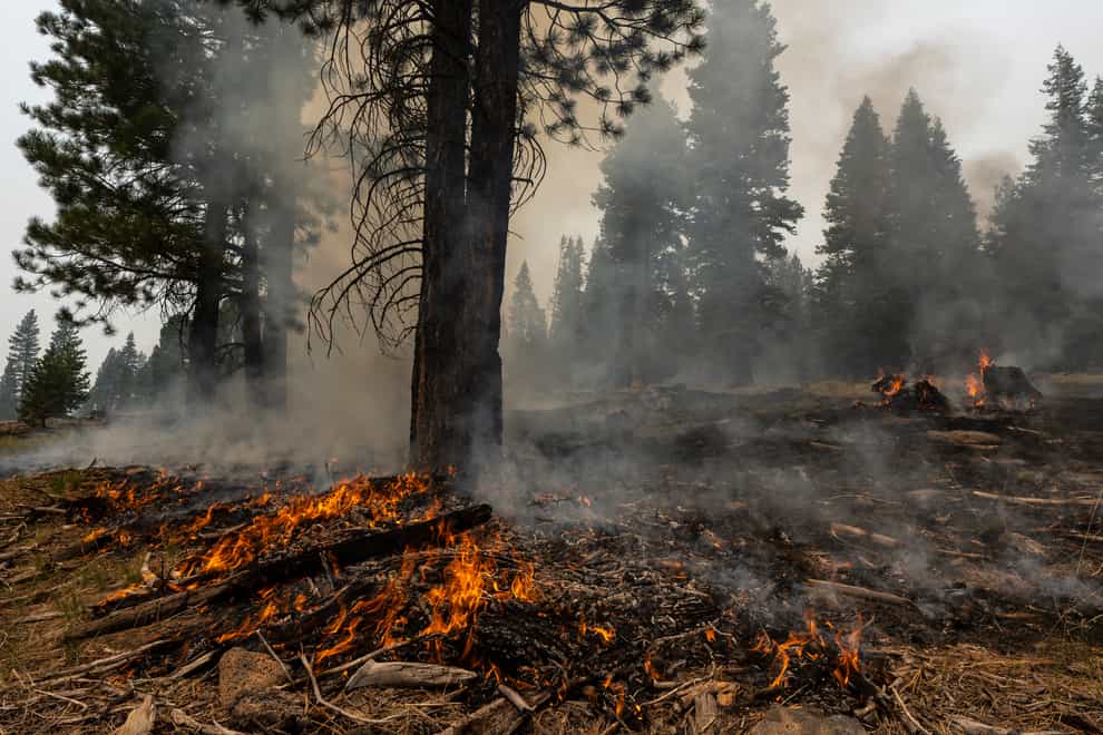 A small brush fire spreads ahead of a containment line near the Northwest edge of the Bootleg Fire in Oregon (Nathan Howard/AP)