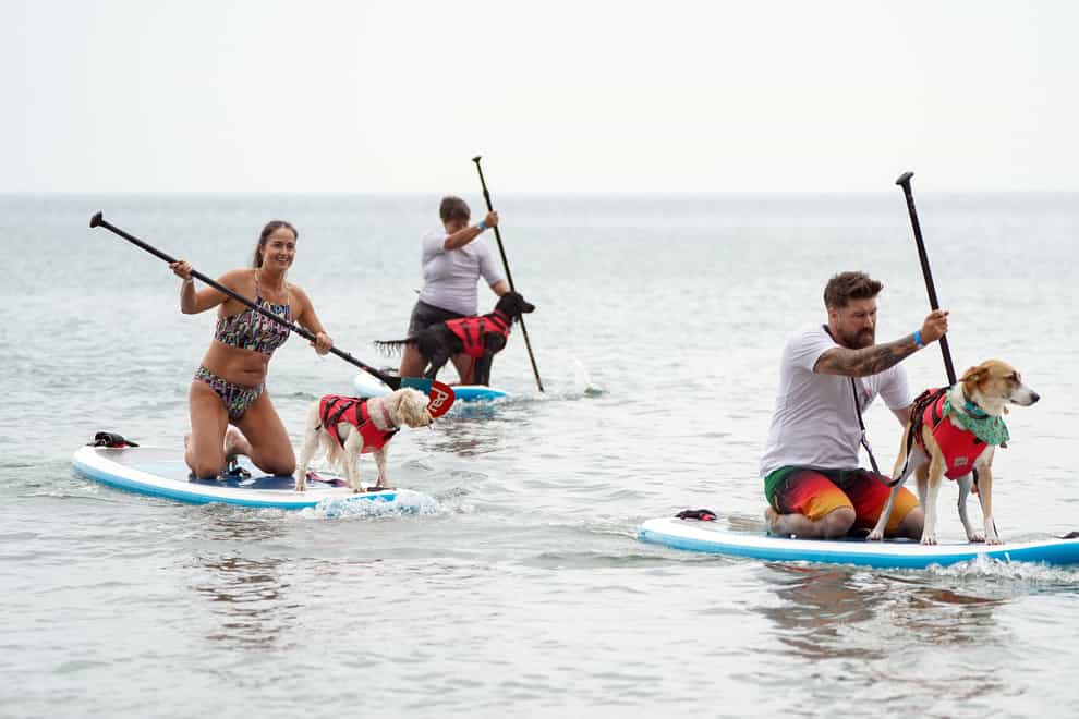 Dogs and their owners took to the sea on Sunday morning in the annual Dogmasters competition (Andrew Matthews/PA)