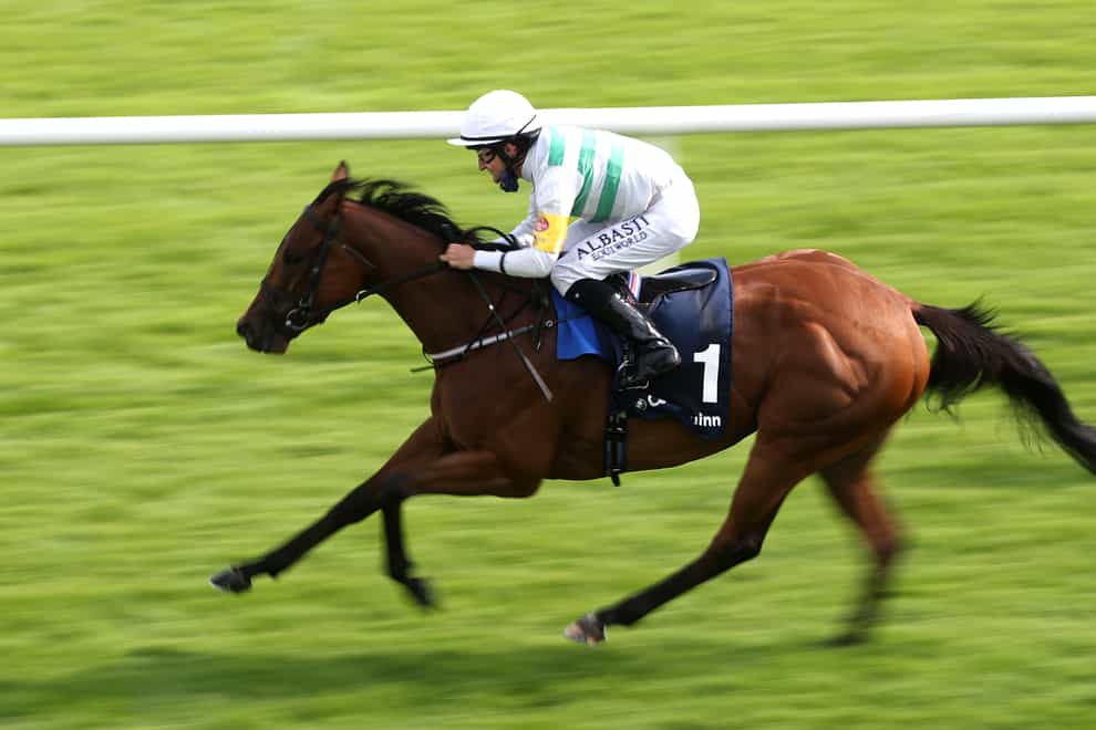 Aurora Princess, who mistakenly ran as Alizarine at Galway (Niall Carson/PA)