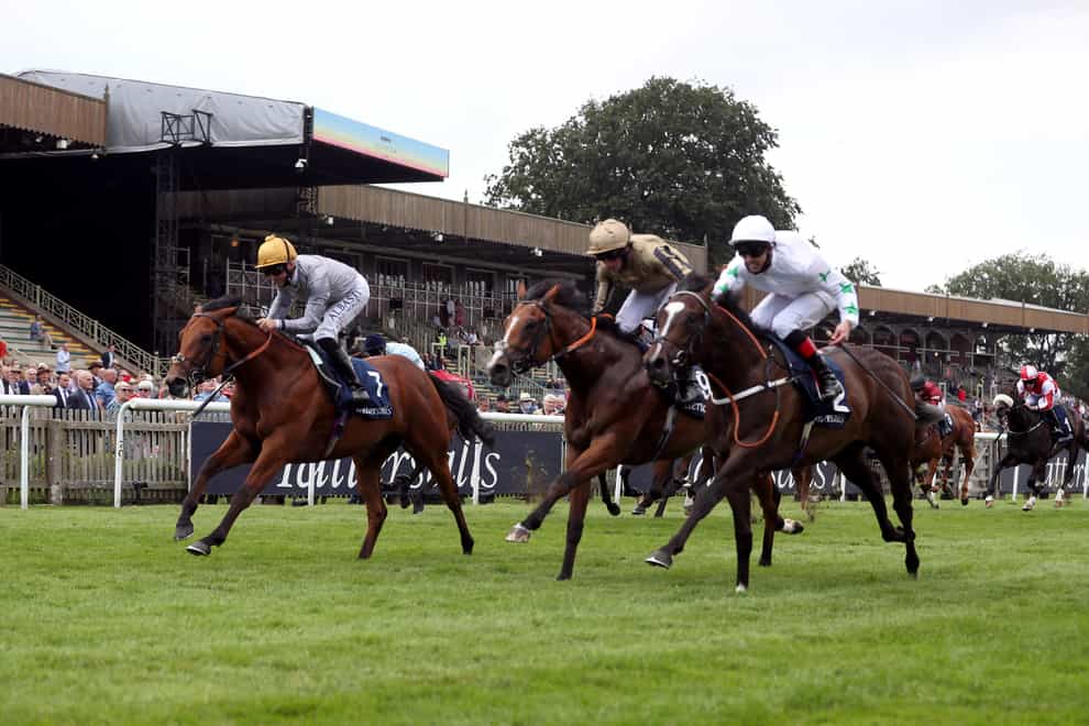 Asymmetric (right) just missed out in the July Stakes (David Davies/PA)