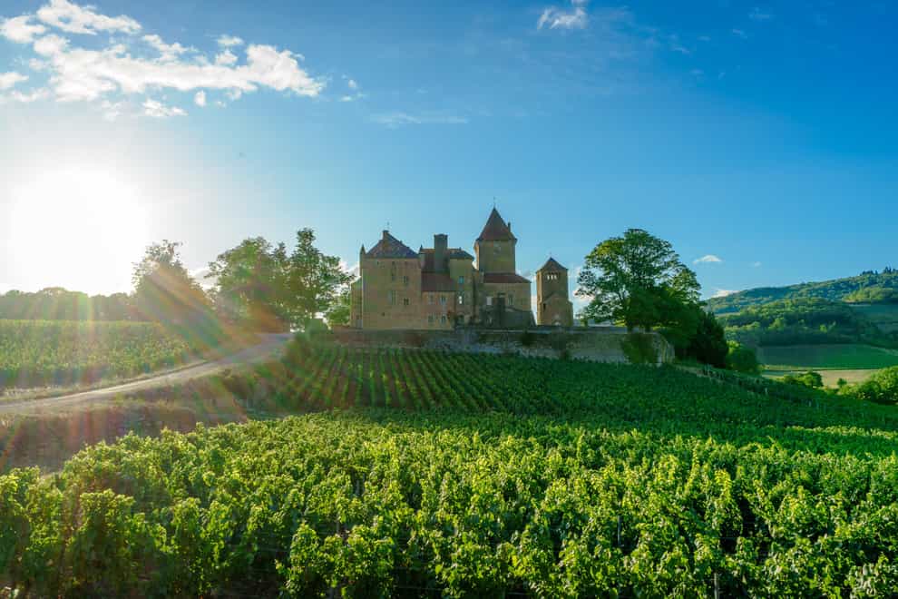 Top French wines (Alamy/PA)