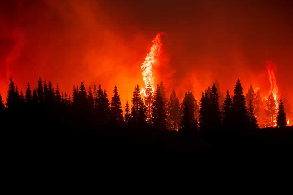 Flames from the Dixie Fire crest a hill in Lassen National Forest (AP)