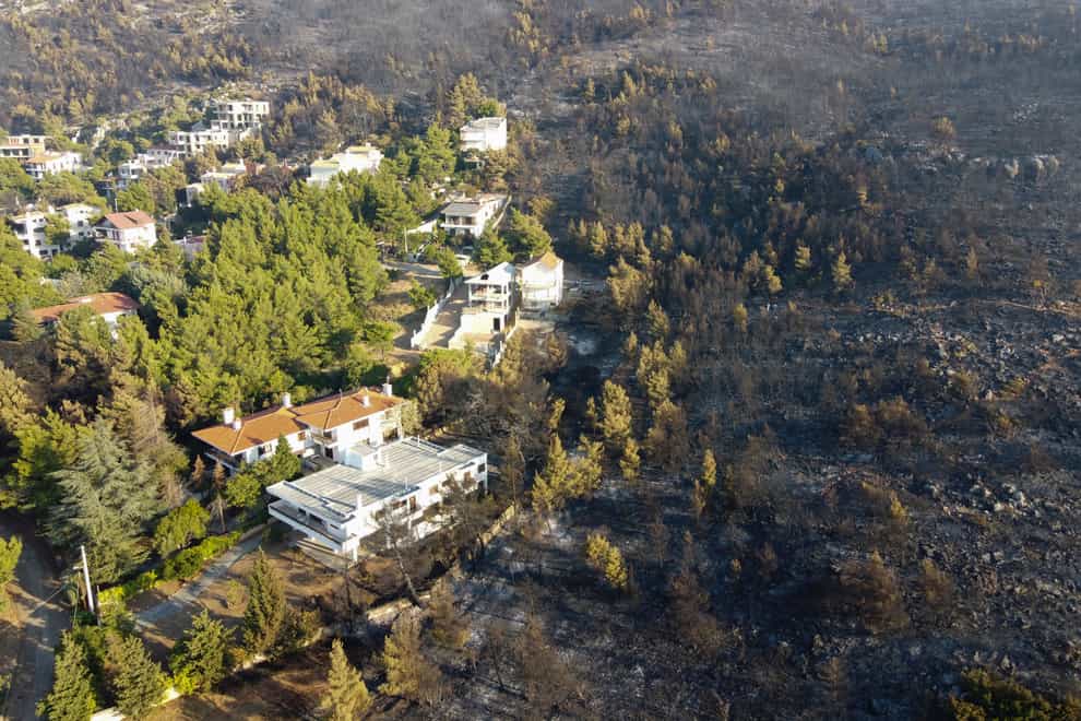 Burned forest next to houses after a wildfire in the Thrakomacedones area, north of Athens (Michael Varaklas/AP)