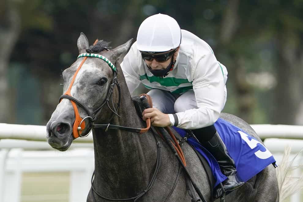 Alpinista took a Group One prize in Germany on Sunday (Alan Crowhurst/PA)