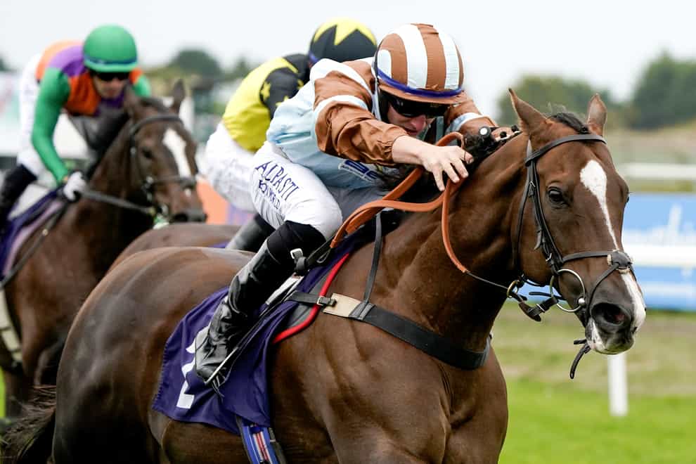 Caspian Prince ridden by jockey Tom Marquand on their way to winning the Free Tips Daily On attheraces.com Handicap at Great Yarmouth Racecourse (Alan Crowhurst/PA)