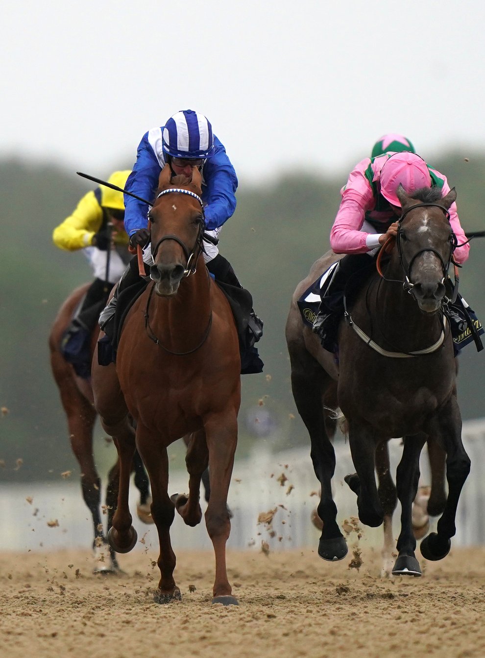 Technique (centre) finishing second at Newcastle in June (Tim Goode/PA)