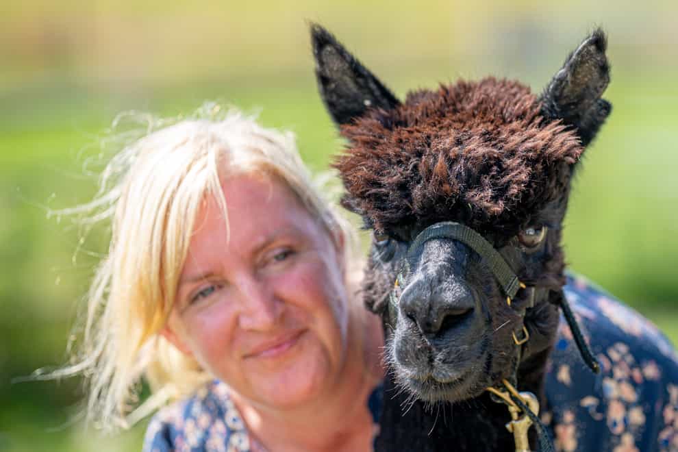 Geronimo the alpaca at Shepherds Close Farm in Gloucestershire, with owner Helen Macdonald (Ben Birchall/PA)