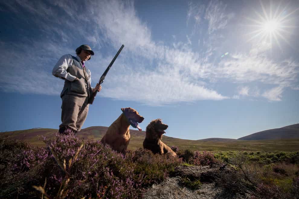 The ‘Glorious Twelfth’ marks the start of grouse season (Jane Barlow/PA)