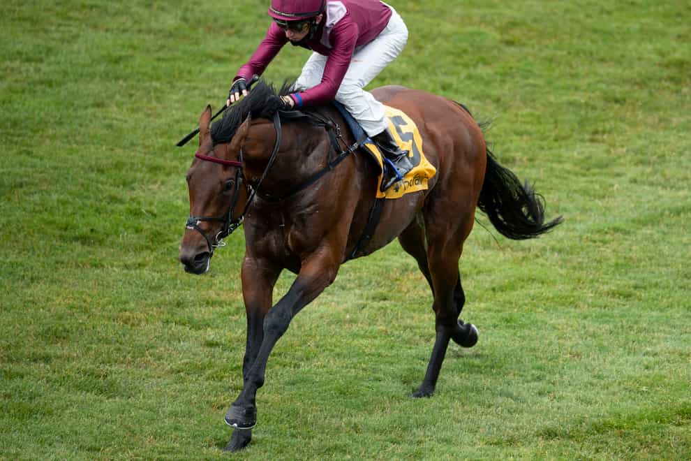 Mishriff is a leading contender for the Juddmonte International at York (Edward Whitaker/PA)
