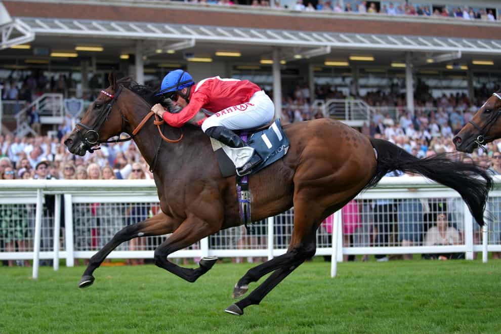 Sacred ridden by jockey Tom Marquand wins the BetVictor Hungerford Stakes race at Newbury racecourse (John Walton/PA)