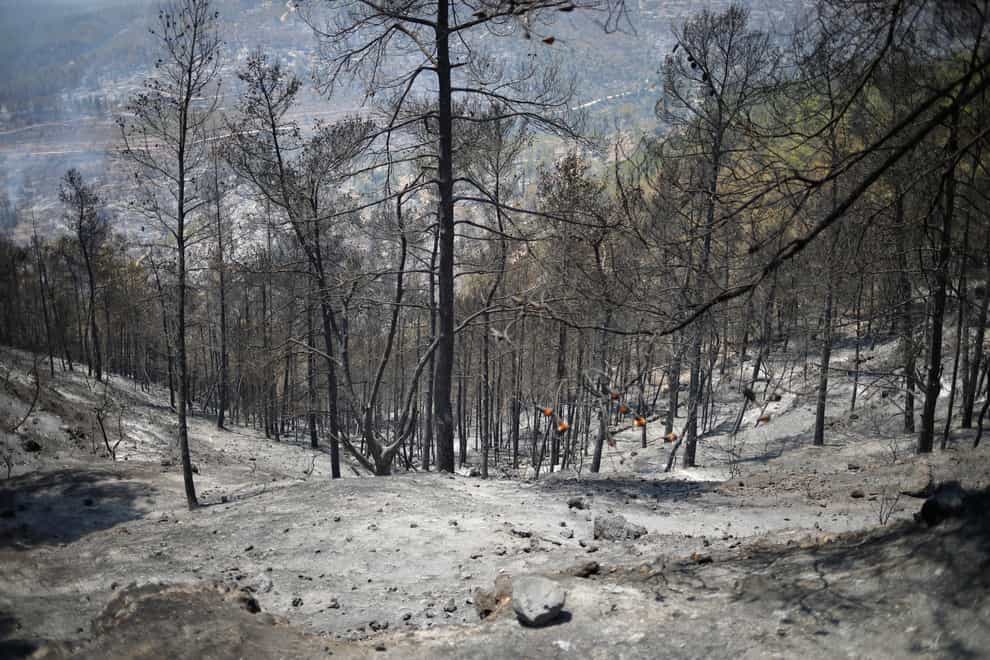 A wasteland of scorched earth and trees, are seen on the third day of wildfires in the Jerusalem mountains (Ariel Schalit/AP)