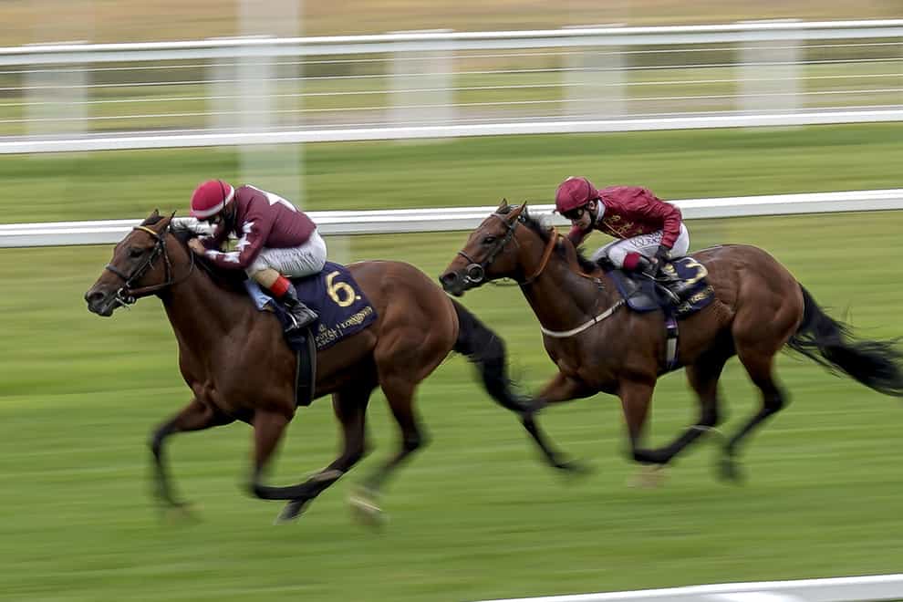 Golden Pal (left) in action at Royal Ascot last year (Alan Crowhurst/PA)