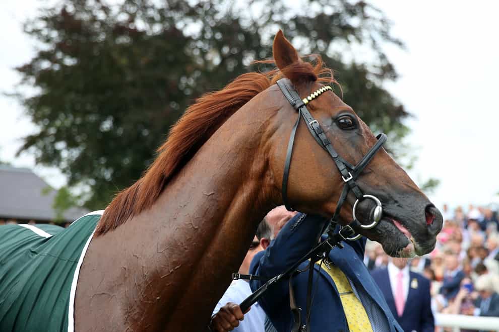 Stradivarius after winning the Weatherbys Hamilton Lonsdale Cup (Nigel French/PA)