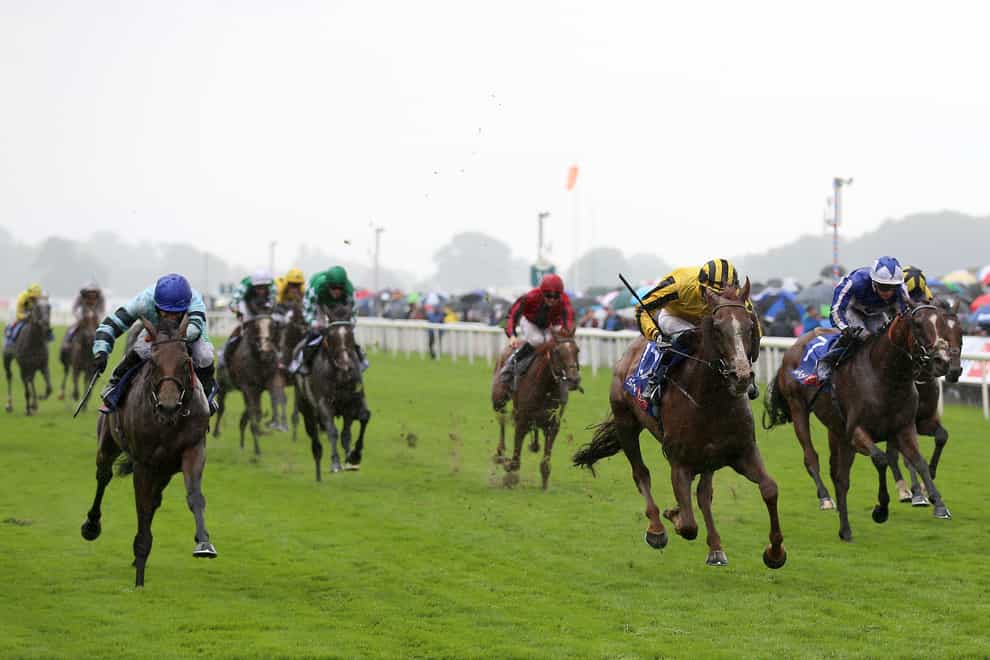 Quickthorn (left) just lost out in the Ebor (Nigel French/PA)