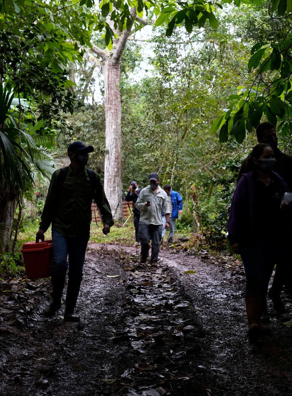 Scientists walk with locals as they collect plant samples on the Galapagos (Dolores Ochoa/AP)