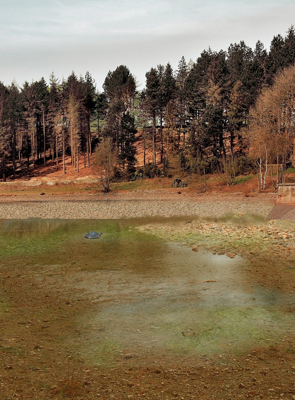 Artistic impression of how Langsett reservoir could look in 2071 (Yorkshire Water/PA)