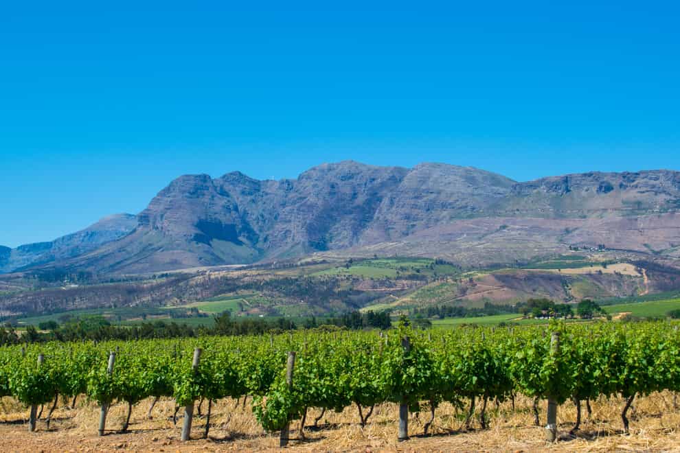 The beautiful mountains and winelands of Western Cape, South Africa (ALAMY/PA)
