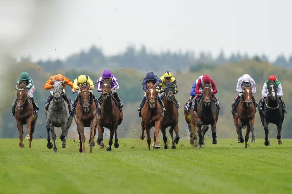 Skalleti (grey, second left) finishing second in the Qipco Champion Stakes at Ascot (PA)