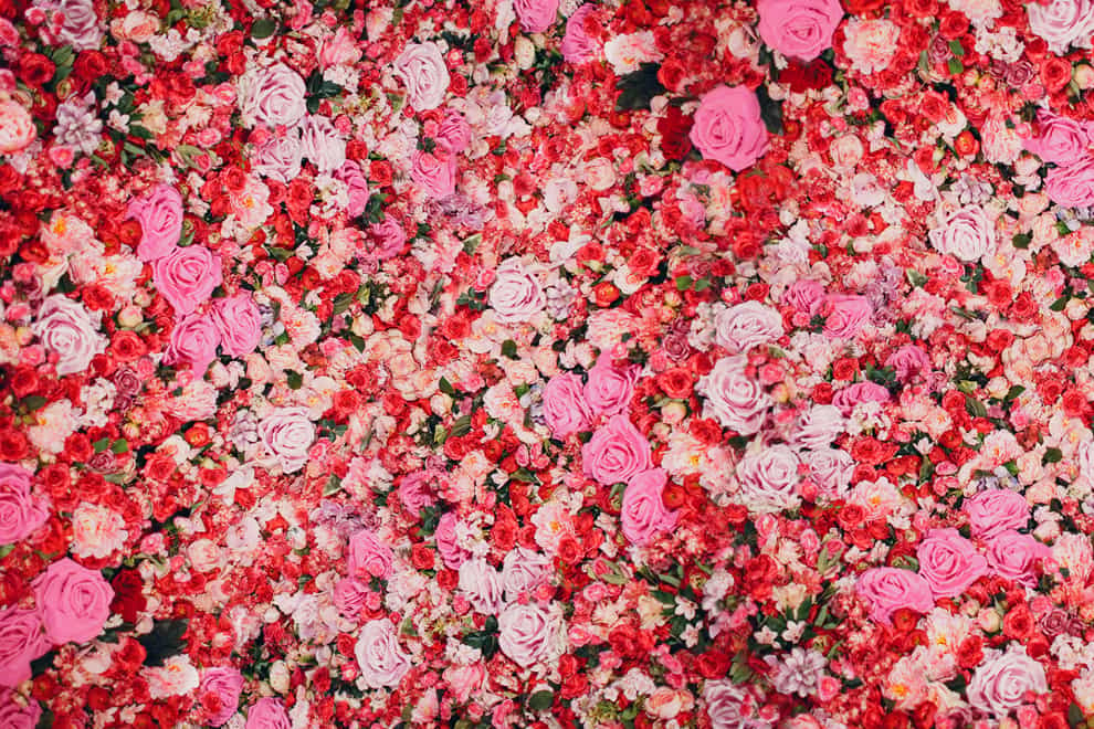 Flower walls are all the rage right now (Alamy/PA)