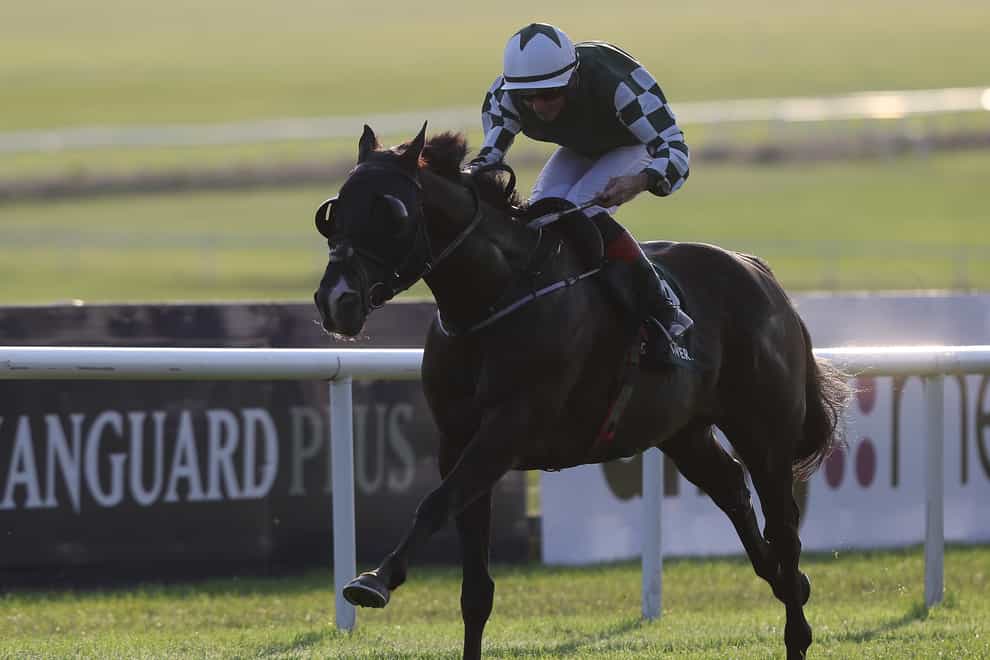 Bopedro powers home under Conor Hoban (Brian Lawless/PA)