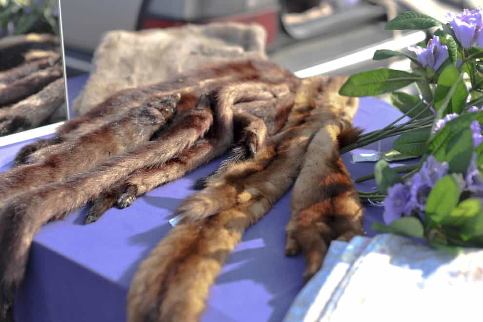 Mink fur for sale at a car boot sale (Ben Birchall/PA)
