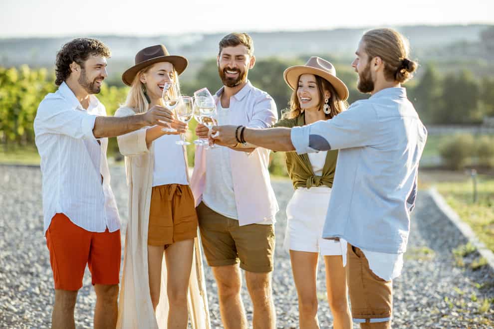 Group of young friends tasting wine and clinking glasses in a vineyard on sunny day (ALAMY/PA)