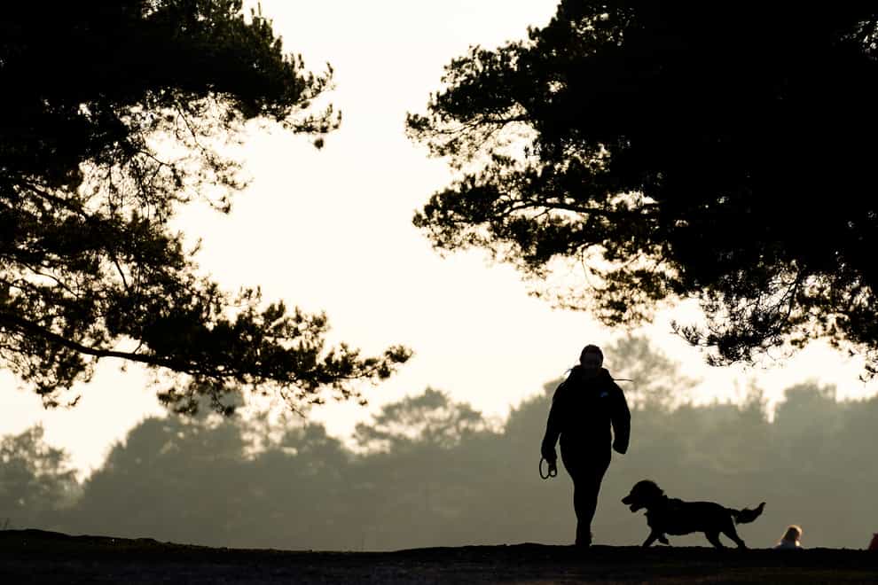 A dog walker in Barossa nature reserve in Camberley (John Walton/PA)