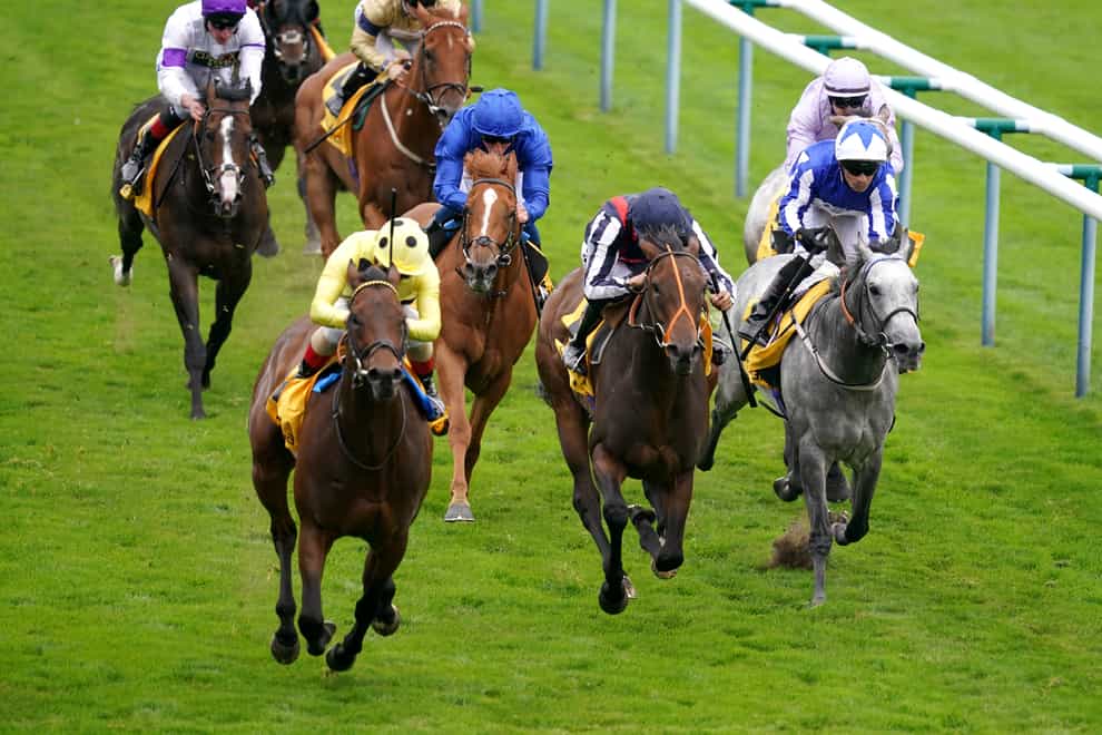 Emaraaty Ana (left) takes the honours in the the Betfair Sprint Cup at Haydock (David Davies/PA)