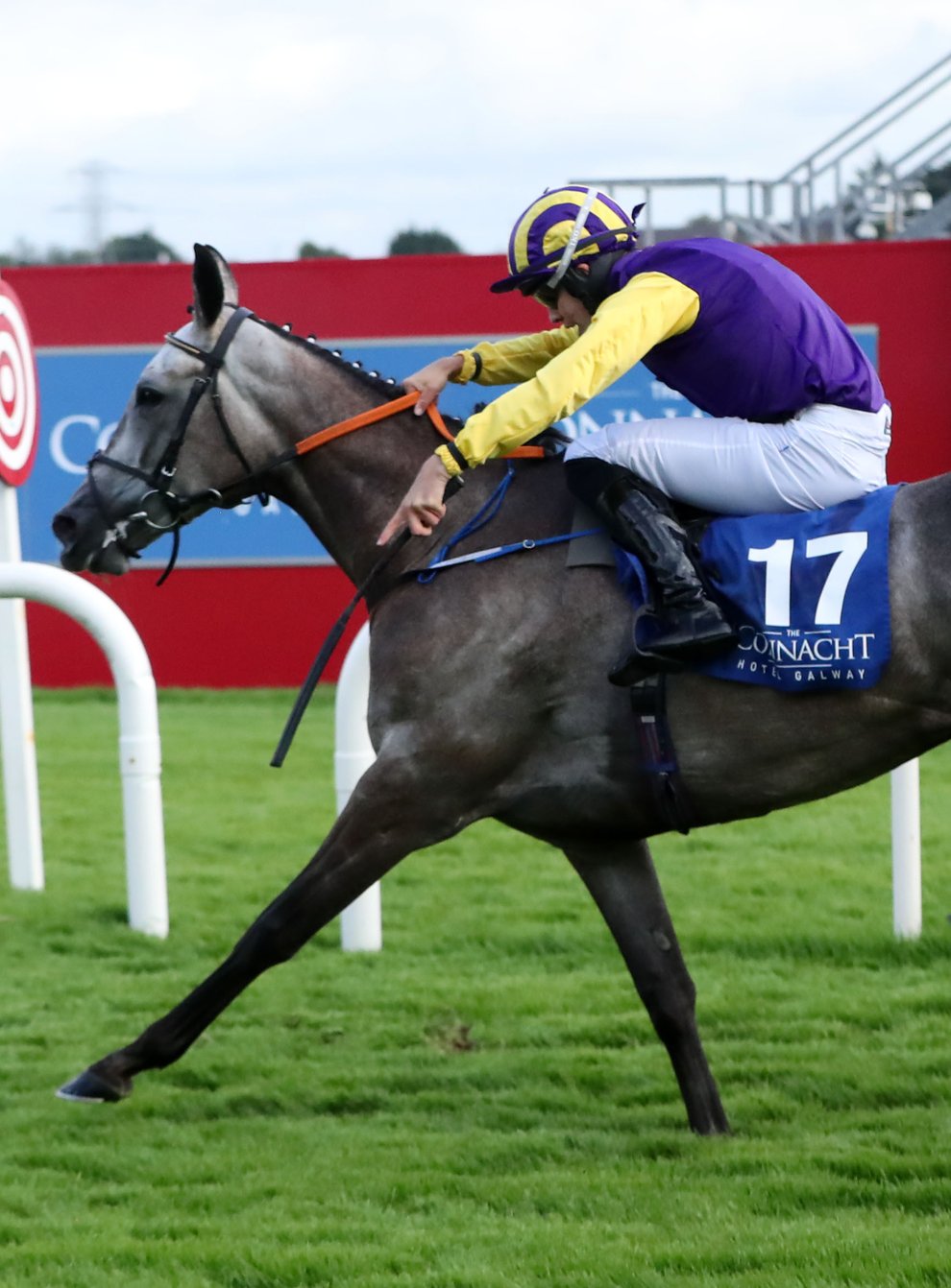 Princess Zoe is likely to skip the Doncaster Cup and go straight to ParisLongchamp (PA)