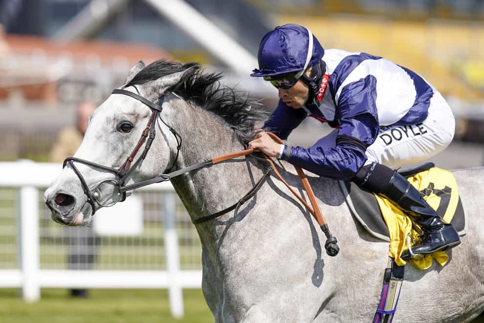 Snow Lantern could head to Newmarket (Alan Crowhurst/PA)