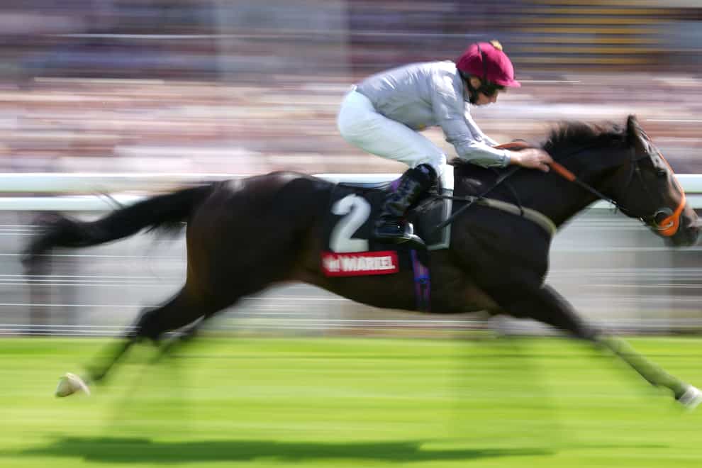 Armor holds a leading chance in the Wainwright Flying Childers Stakes at Doncaster (John Walton/PA)