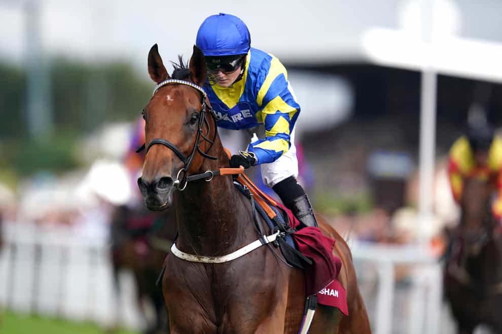 Trueshan will be absent from the Doncaster Cup (John Walton/PA)