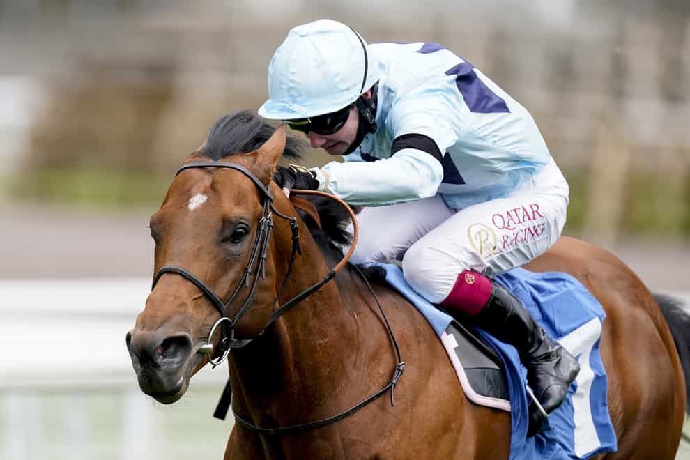 Starman will head to Ascot on Champions Day as long as the ground is suitable (Alan Crowhurst/PA)
