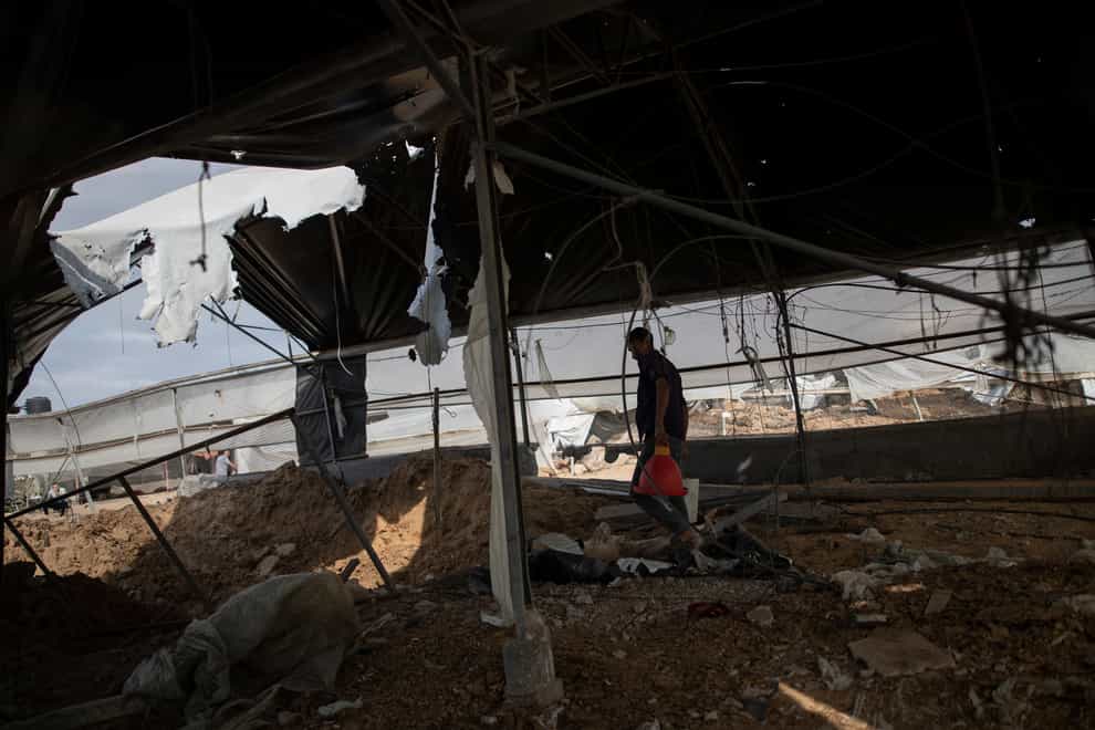 A Palestinian man inspects the damage of a poultry farm (AP)