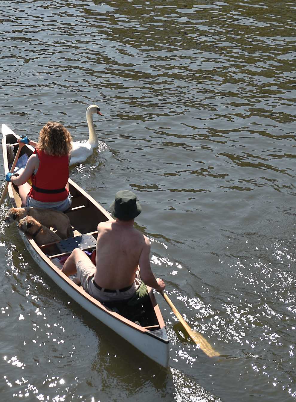 People canoe along the River Bure in Wroxham on the Norfolk Broads (Joe Giddens/PA)