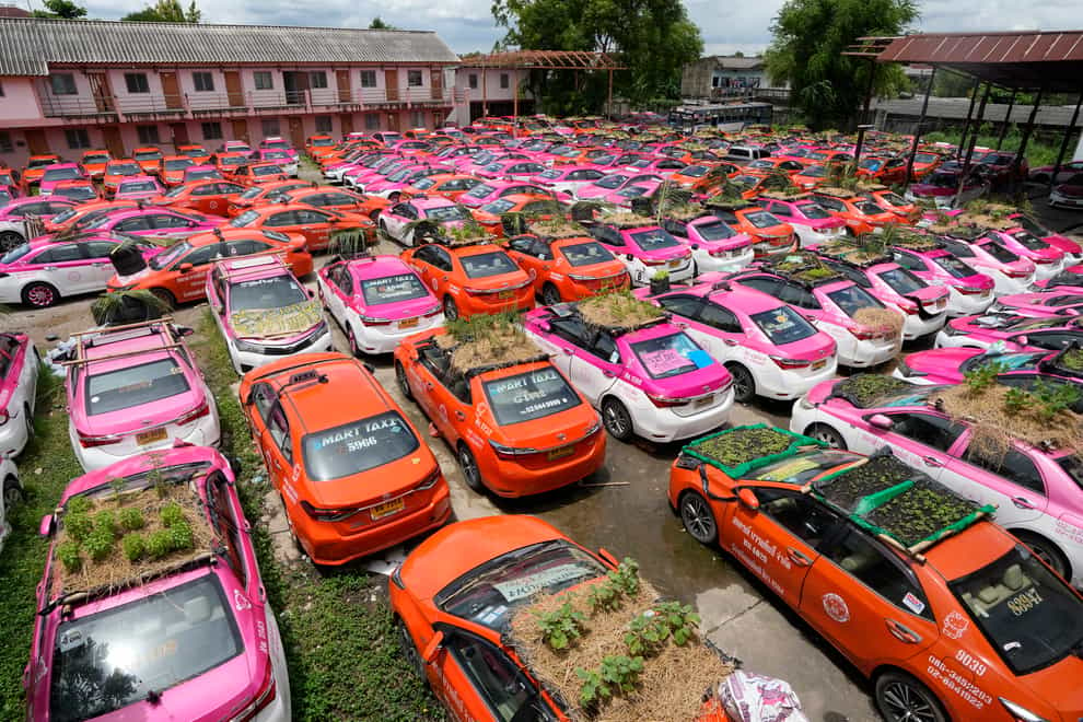 Miniature gardens planted on the roofs of unused taxis in Bangkok (Sakchai Lalit/AP)