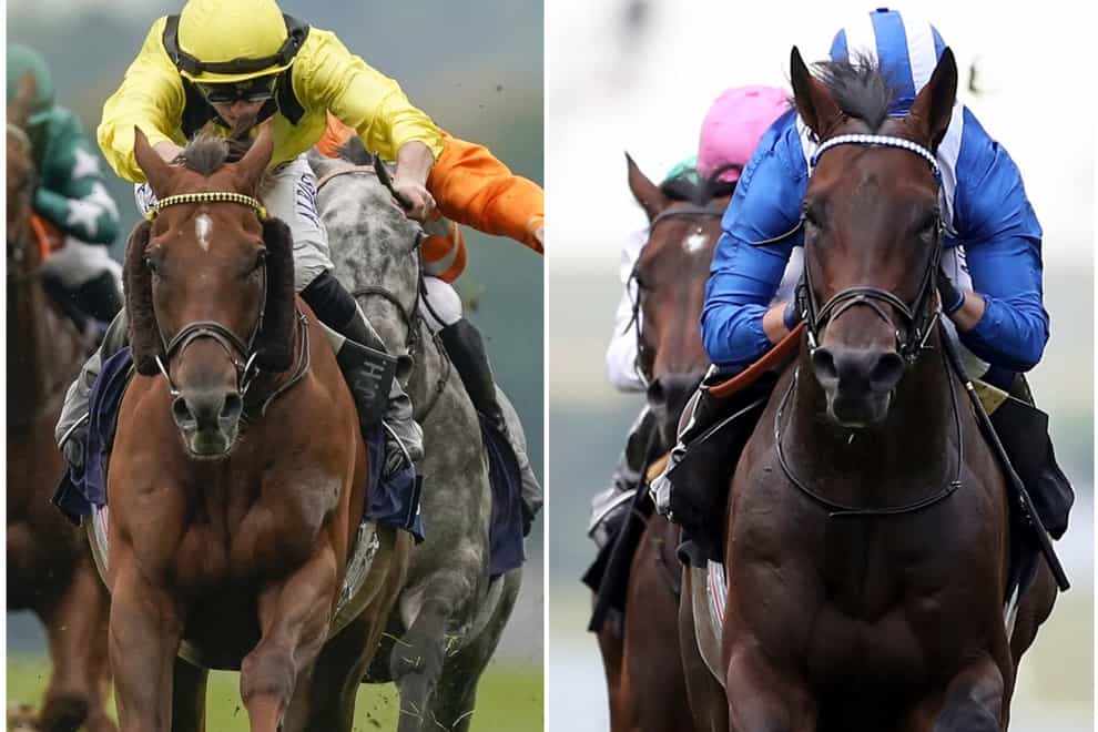 Addeybb (left) and Baaeed are heading for Champions Day (PA)