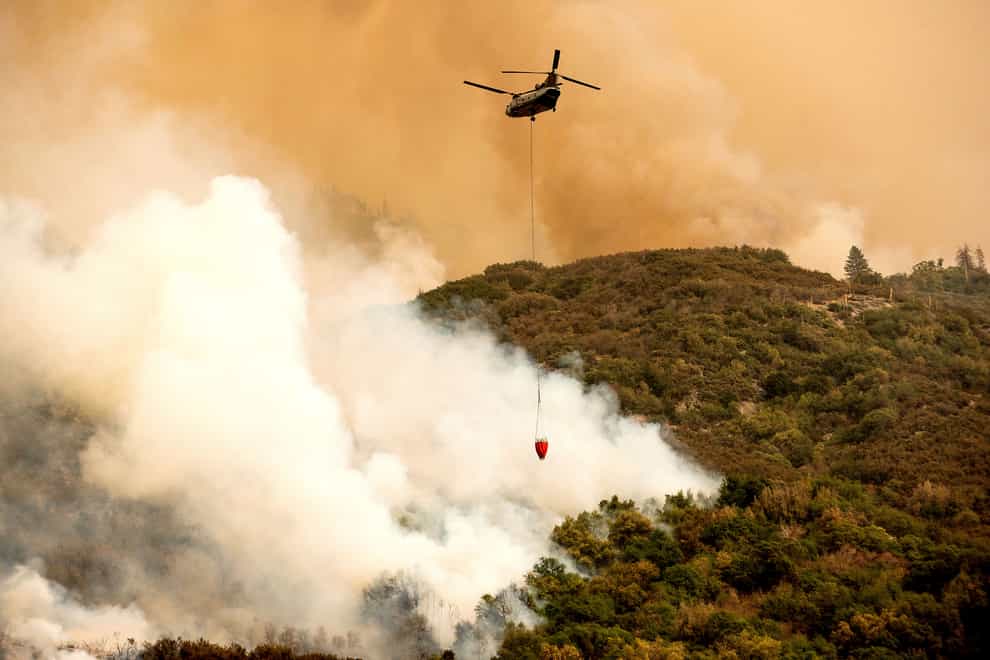 A helicopter battles the fire threatening the giant trees (Noah Berger/AP)