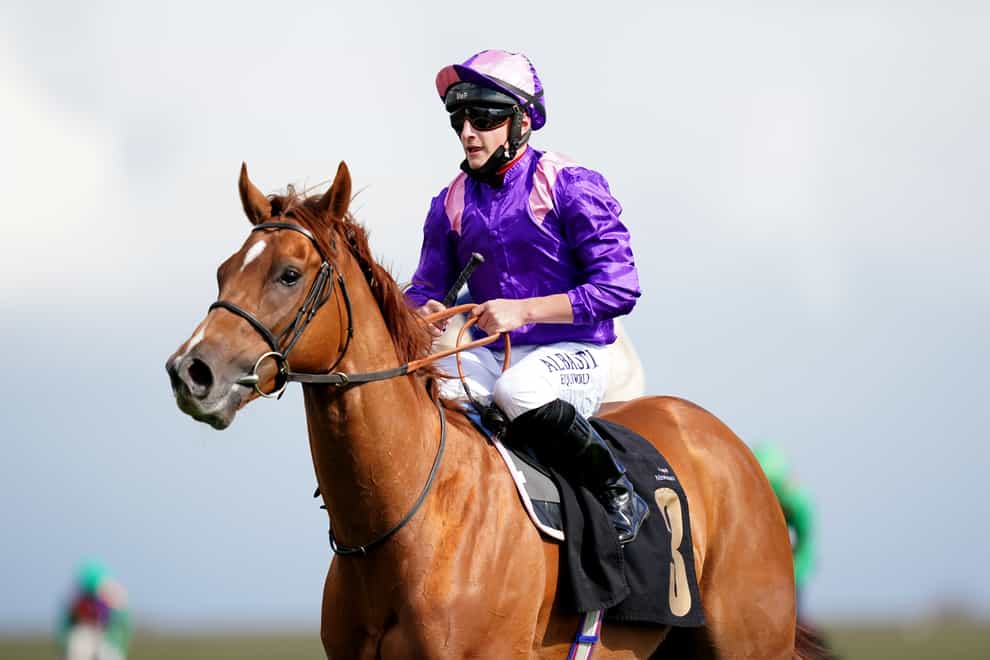 Great Ambassador is favourite for the Ayr Gold Cup (John Walton/PA)
