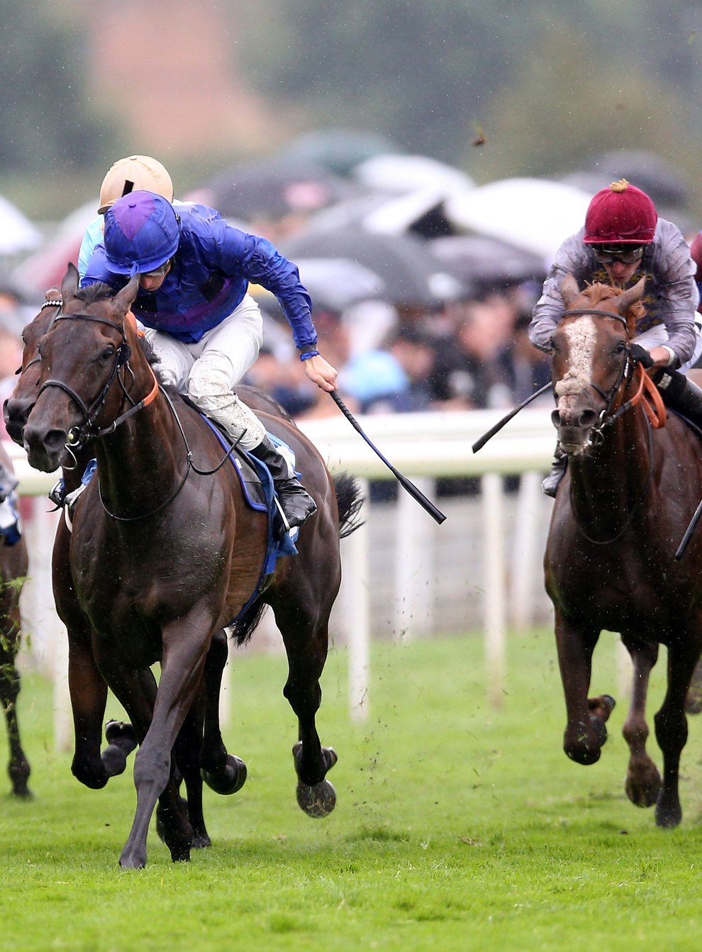 Migration (centre) winning at York (Nigel French/PA)
