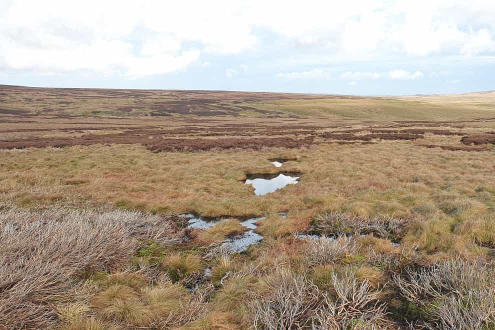 West Arkengarthdale Moor in the Yorkshire Dales, where 1,395 hectares of peatland has been restored
