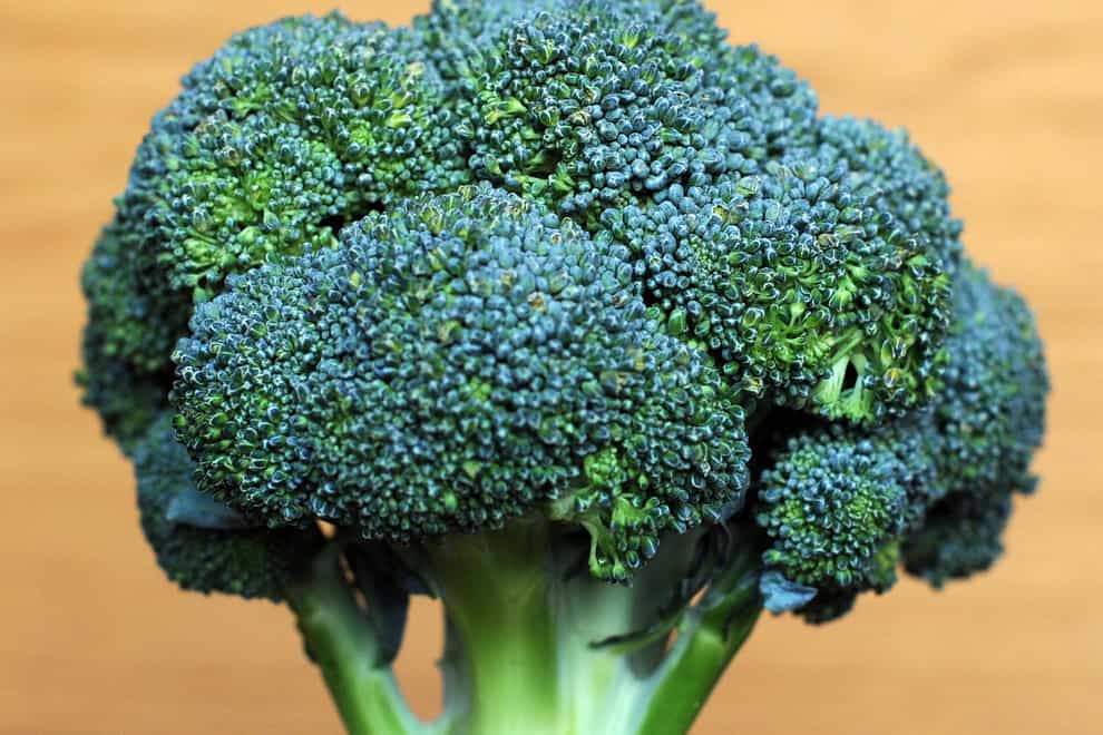 Researchers discover why children may dislike broccoli (Nick Ansell/PA)
