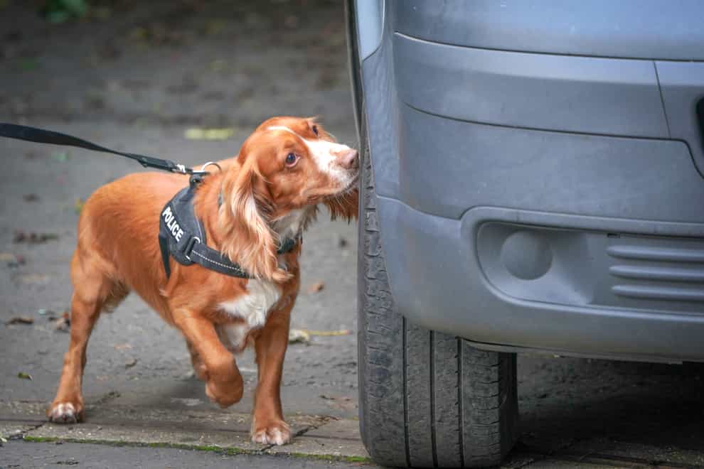 Nico the dog searches for explosives as Police Scotland’s dog unit train in Pollok Country Park (Jane Barlow/PA)