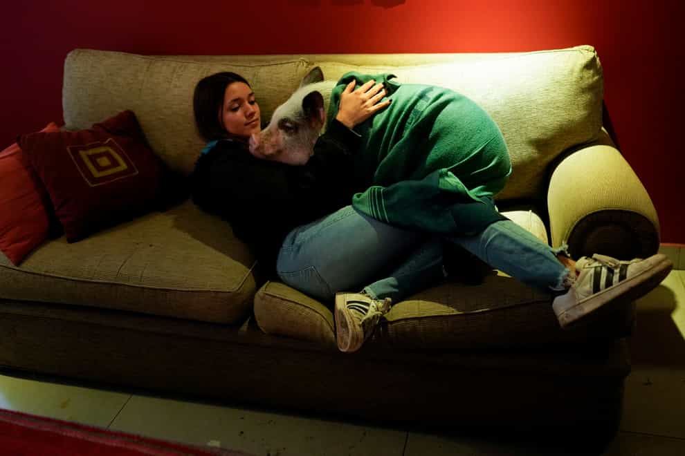 Luciana Benetti, 16, embraces her pet pig Chanchi at home in Buenos Aires, Argentina (AP Photo/Natacha Pisarenko)